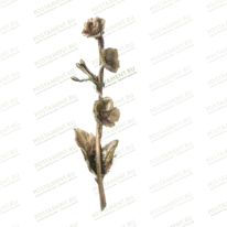 Цветок 82032
