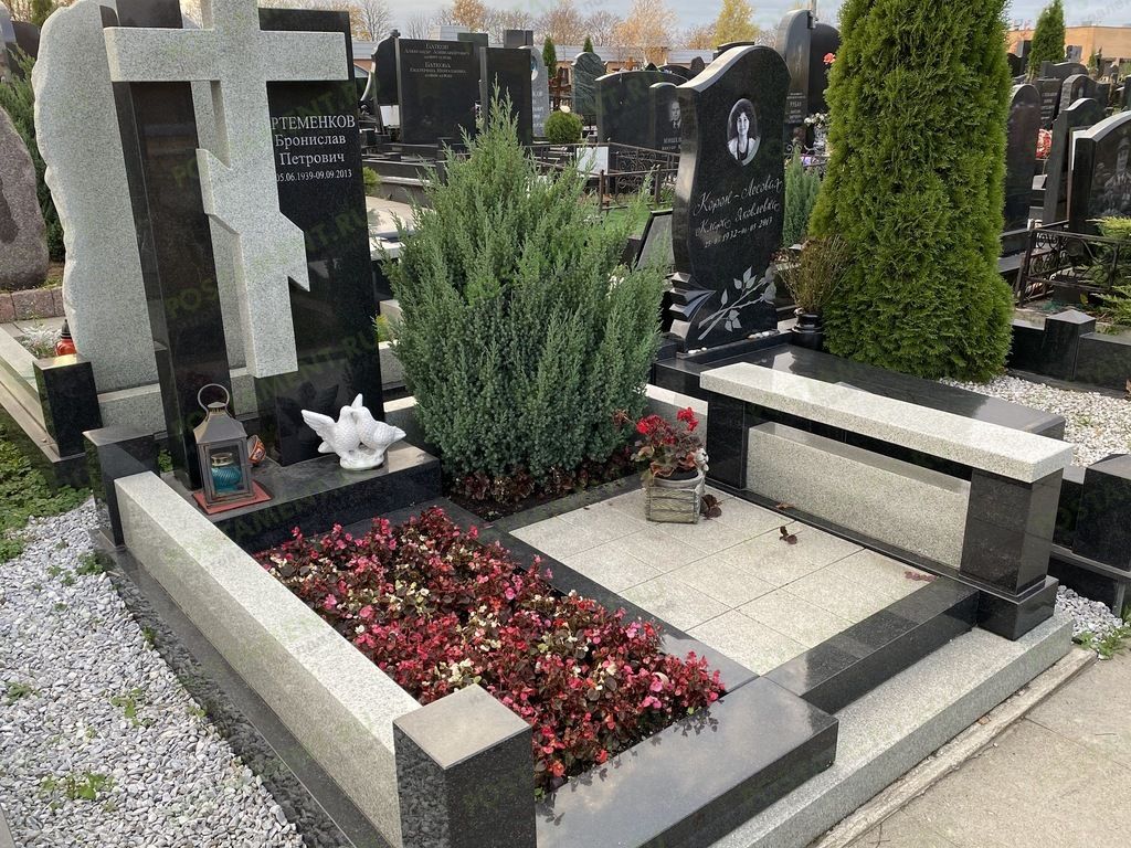 Можжевельник китайский Стрикта, бегония вечноцветущая