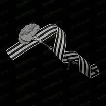Гвоздика с георгиевской лентой 91080
