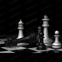 Шахматы 91691