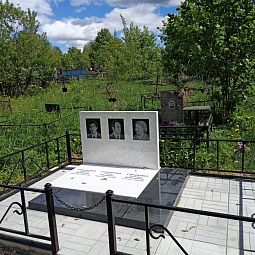 Кованая ограда Чайка