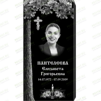 Рисунок 95101