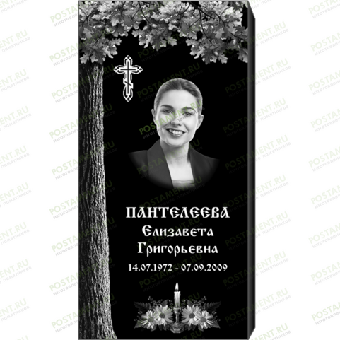 Рисунок 95101