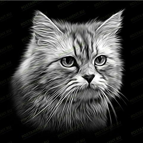 Изображение кота на памятник