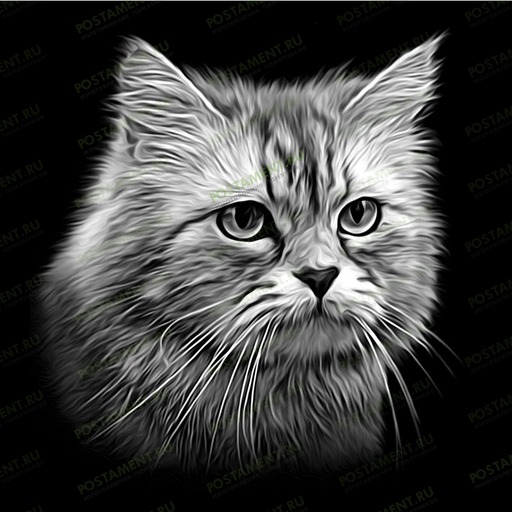 Портрет пушистого кота — художественная гравировка на памятник из гранита