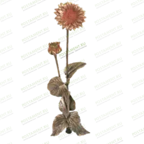 Цветы 82023