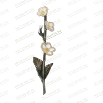 Цветок 82033